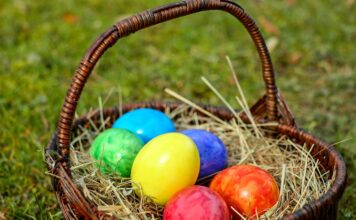 Leuke om in huis te halen met Pasen