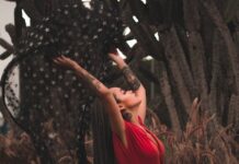 Trendy Alan Red truien voor stijlvolle heren – Ontdek ze nu!