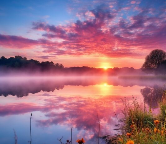 Ontdek plusport lms systeem: de vernieuwende weg naar effectieve lti