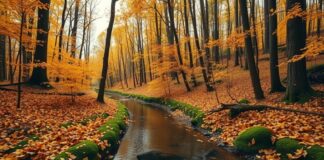 Hoe de erc starting grant jonge onderzoekers vooruit helpt